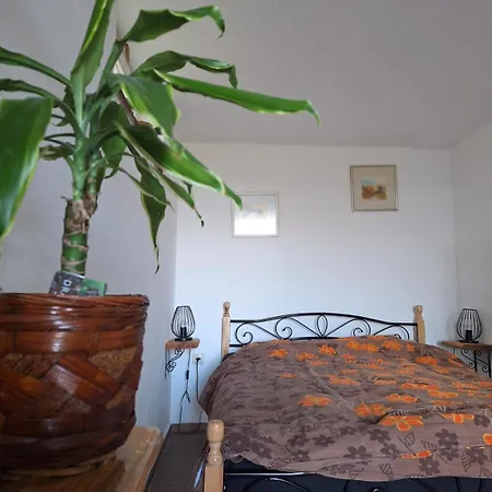 Sunny Karla Apartment