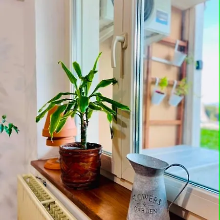 Sunny Karla Id One35030 Apartmán Dramlje